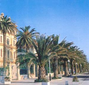 a row of palm trees in front of a building at Grottammare mon amour Levante in Grottammare
