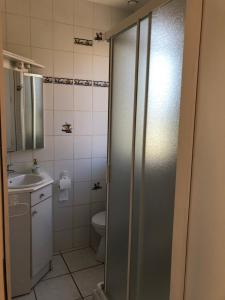 W łazience znajduje się prysznic, toaleta i umywalka. w obiekcie Les Gîtes du Paradis w mieście Murol