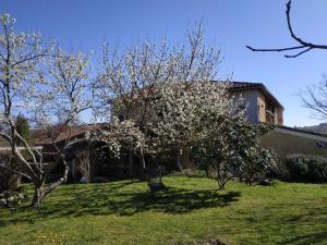 a tree with white flowers in a yard with a building at "Au campaner" chambres dans maison gasconne in Barran