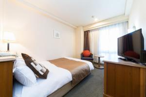 Μια τηλεόραση ή/και κέντρο ψυχαγωγίας στο Pearl Hotel Mizonokuchi