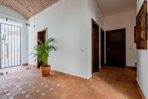 
a large room with a door leading to a hallway at Casa Creativa Lagos in Lagos
