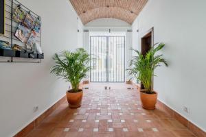 a hallway with three potted plants in a building at Casa Creativa Lagos in Lagos