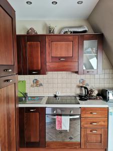 a kitchen with wooden cabinets and a counter top at Gaja in Nida