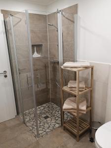 a bathroom with a shower with a glass door at Ferienwohnung "Am Kreuzfelsen" in Bestwig