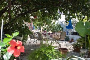 Ein Garten an der Unterkunft Apartman Orange