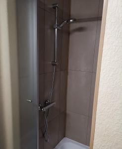 a shower with a glass door in a bathroom at Hôtel La Côte d'Or in Philippeville