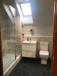 a bathroom with a toilet and a shower and a sink at Cairngorm Mountain View in Aviemore