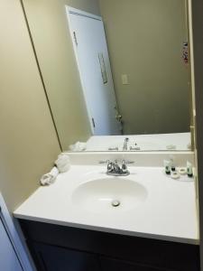 La salle de bains est pourvue d'un lavabo et d'un grand miroir. dans l'établissement Mainstay Inn, à Phoenixville