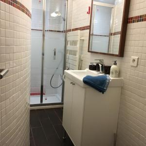 a bathroom with a sink and a shower at Studio Saint Sulpice in Paris