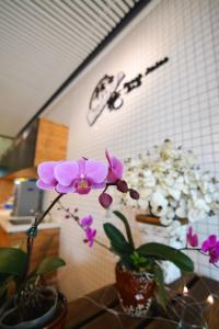 Fotografie z fotogalerie ubytování 水菓糖民宿 v destinaci Tchaj-tung