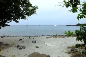 波尔兰特Gite Palmier的相册照片 更多4张照片