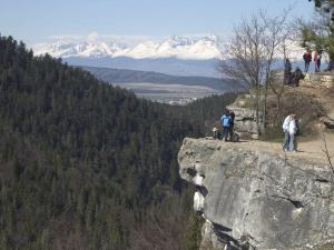 Príroda v okolí horskej chaty