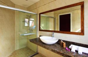 a bathroom with a sink and a mirror and a shower at Villa Sole in Anse Volbert Village