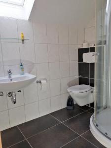La salle de bains est pourvue d'un lavabo, de toilettes et d'une douche. dans l'établissement Apartment Kraemer Dax, à Mehren
