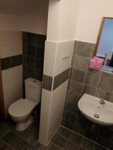 a bathroom with a toilet and a sink at Apartman U Hippolyta in Jindřichŭv Hradec