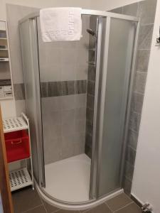 um chuveiro com uma porta de vidro na casa de banho em Apartman U Hippolyta em Jindrichuv Hradec
