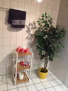 Fotografie z fotogalerie ubytování Ferienwohnung Martina v destinaci Zell an der Mosel