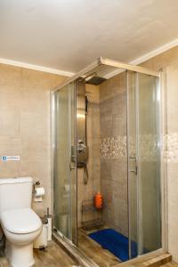 a bathroom with a toilet and a glass shower at The Orange Garden in Nafplio