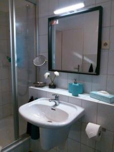 Koupelna v ubytování Ferienwohnung Dr. Vera Schmidt