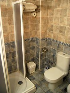a bathroom with a toilet and a shower at La Noguera in Palomera +19 photos