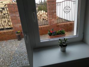 Balkón nebo terasa v ubytování Na Kopečku