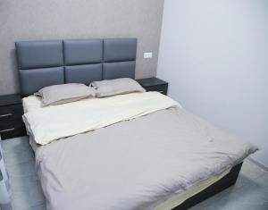 ein großes Bett mit blauem Kopfteil und zwei Kissen in der Unterkunft "Royal" apartment #01 in Yerevan