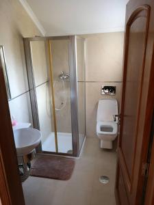 uma casa de banho com um chuveiro, um WC e um lavatório. em Cantinho do Lucas em Alvaiázere mais 15 fotografias