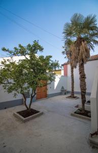 a courtyard with two palm trees in front of a building at Villa M in Mostar