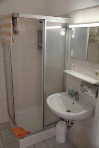 a bathroom with a shower and a sink at Wehrstedter Hof in Halberstadt