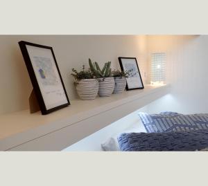 a shelf with three pictures and three potted plants on it at DUINLICHT-Oostduinkerke in Oostduinkerke