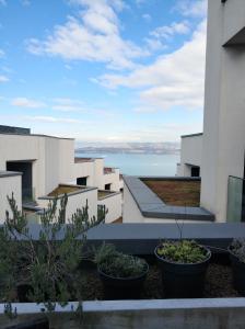 una vista dal balcone di un edificio con piante di Apartment Morski cvet a Capodistria
