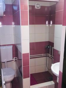 a bathroom with a toilet and a sink at Holiday home Nikola in Žabljak