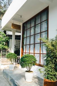 three potted trees sitting in front of a building at a-mâze house in Hue