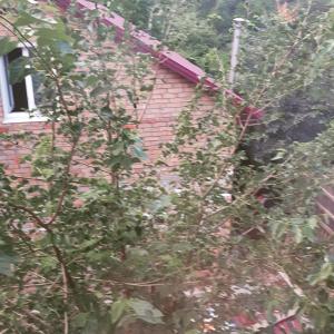 a tree in front of a red brick building at Киевская 43 in Khorol