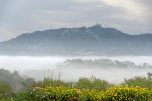 a misty valley with a castle on top of a hill at Quinta Verde Sintra - Casa de Campo in Sintra