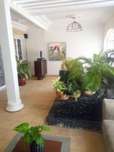 ein Wohnzimmer mit Topfpflanzen und einem Sofa in der Unterkunft ILLIYIN Boutique Hotel in Dakar
