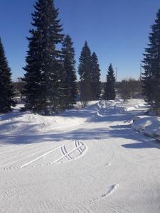 śnieżne pole z drzewami i śladami stóp w śniegu w obiekcie Kontiomaki w mieście Kontiomäki