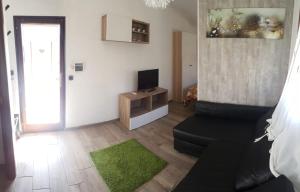 Una sala de estar con un sofá negro y un televisor. en Oasi del Sangro, en Castel di Sangro