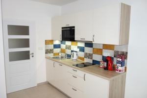 Kuchyň nebo kuchyňský kout v ubytování Lednicko-valtický apartmán