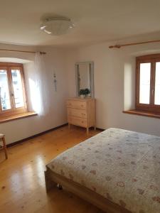 1 dormitorio con 1 cama, vestidor y ventanas en Appartamento Comelico Dolomiti, en Candide