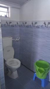 a bathroom with a toilet and birds on the wall at Vamoose Sanjeema Tea Estate Homestay in Kurseong +23 photos