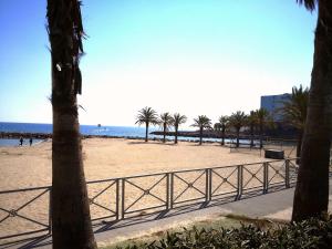 マンドリュー・ラ・ナプールにあるSTUDIO Cannes Marinaのヤシの木と海の砂浜