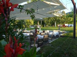 Zahrada ubytování Hotel Zapa
