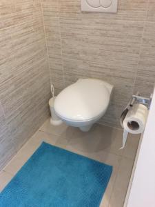 uma casa de banho com um WC e um tapete azul em Les terrasses de Malmédy em Malmedy