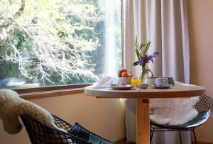 Posezení v ubytování Hotel y Termas Huife