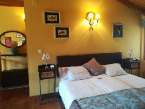 a bedroom with a bed and a mirror on the wall at El Mirador del Gato I y II in Mesegar de Corneja