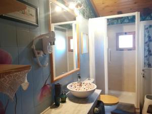 a bathroom with a bowl sink and a shower at El Mirador del Gato I y II in Mesegar de Corneja +52 photos