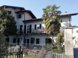 a house with a palm tree in front of it at Invorio La Corte in Invorio Inferiore