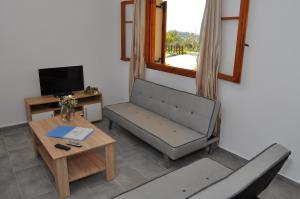 A television and/or entertainment centre at Polymnia Apartments Lassi