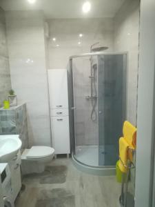 een badkamer met douche, toilet en wastafel bij Centrum Haus in Giżycko